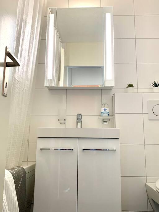 Little Penthouse **** Apartment Dietikon Exterior photo