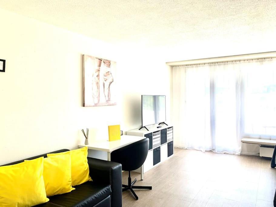 Little Penthouse **** Apartment Dietikon Exterior photo